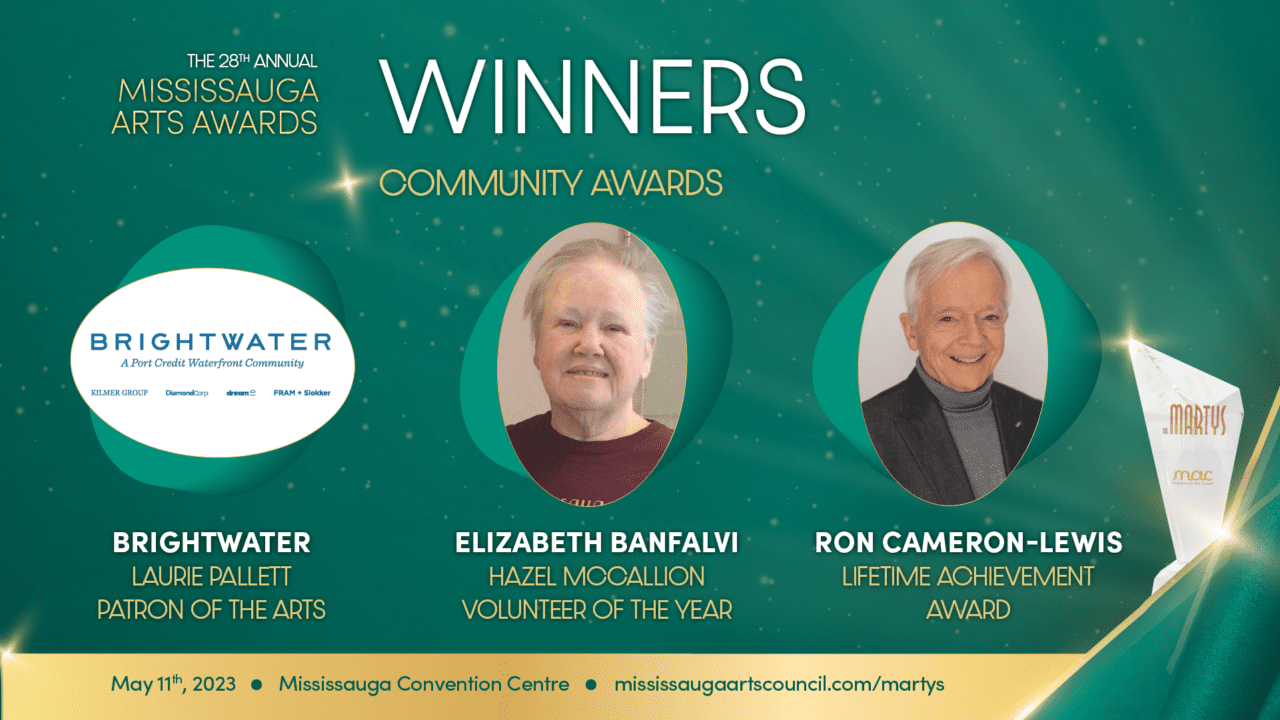 Finalists announced and Community Award Winners named for the 28th